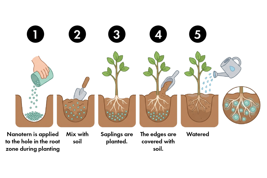 Nanotern Agriculture Bio+ Water Retention Granules – Biodegradable SAP for Organic Farming