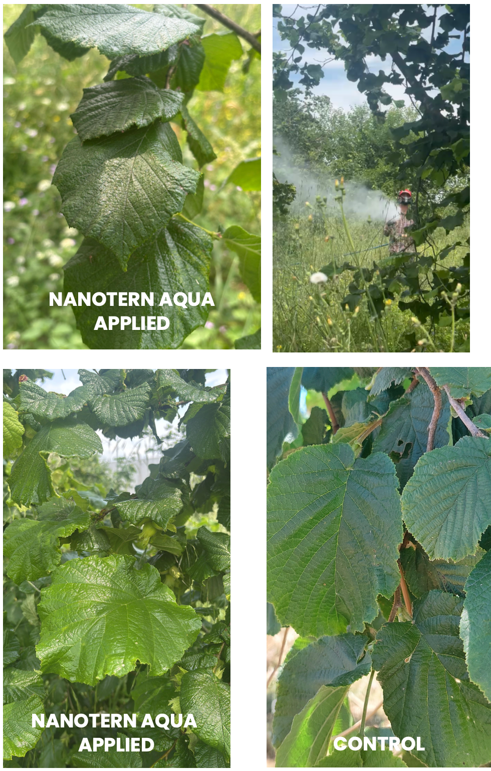 Nanotern Landscaping Aqua - Biodegradable Soil Moisturizer - 5L